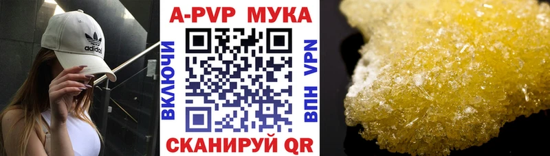 A PVP СК КРИС Омск
