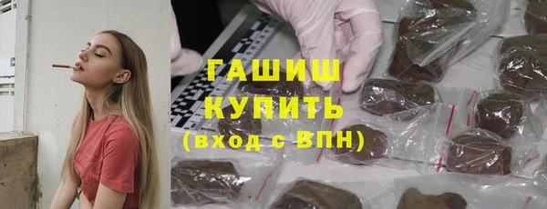 индика Арсеньев