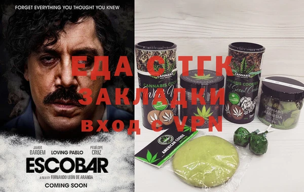 индика Арсеньев