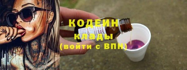 индика Арсеньев