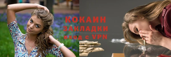 индика Арсеньев