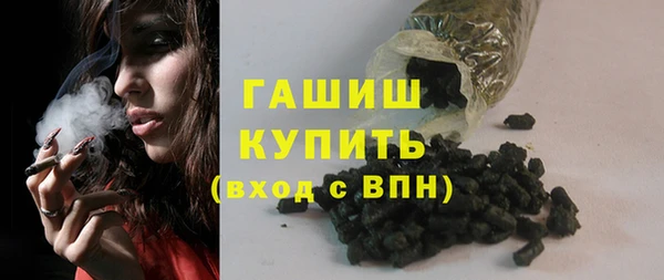 индика Арсеньев