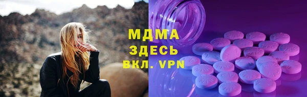 индика Арсеньев
