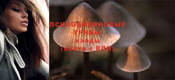 индика Арсеньев