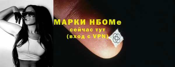 индика Арсеньев