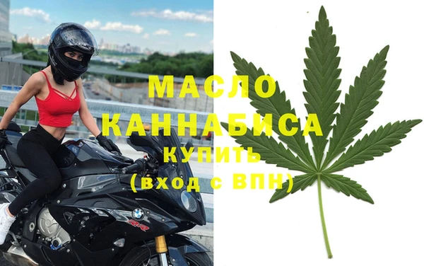 индика Арсеньев