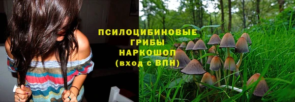 метадон Аркадак