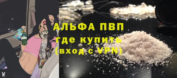 индика Арсеньев