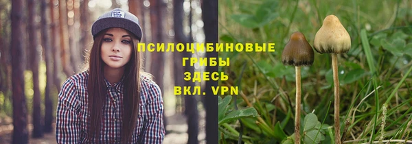 индика Арсеньев