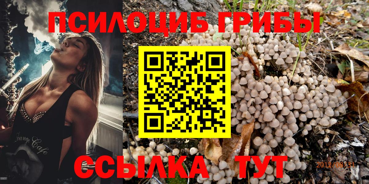 Галлюциногенные грибы GOLDEN TEACHER Омск