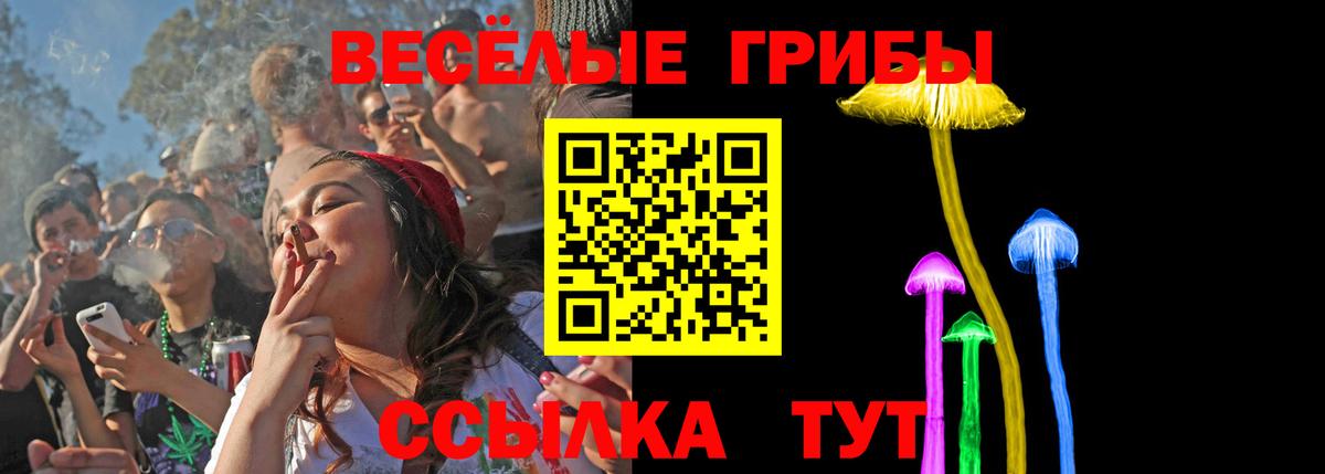 Омск  Псилоцибиновые грибы Magic Shrooms  Вход с VPN 